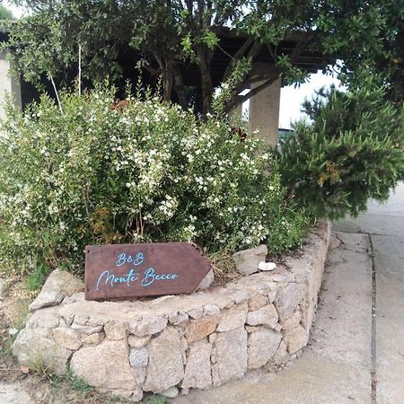 Monte Becco Panoramic Rooms Santa Teresa Gallura Exterior photo